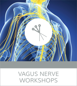 vagus-nerve-workshops